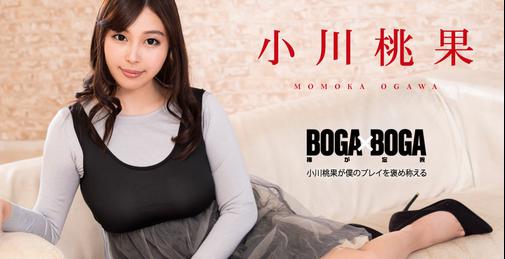 BOGA x BOGA 〜小川桃果が僕のプレイを褒め称えてくれる〜